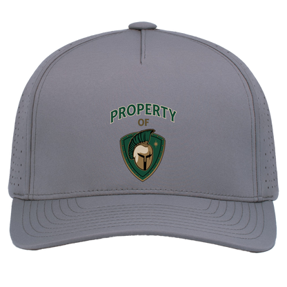 tc-titans-property-of-titans-pacific-headwear-weekender-perforated-snapback-cap — Graphite — Front — source sha256 48c4ae9c700f4fb7c27cb9b47bb35588015296c24dfce5536c028c910b979080 — Color position 4