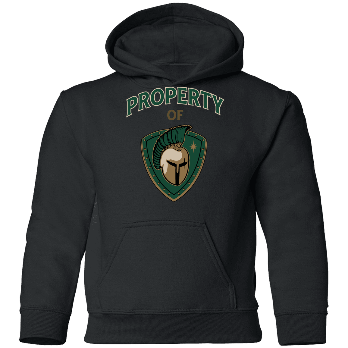 tc-titans-property-of-titans-gildan-youth-pullover-hoodie — Black — Front — source sha256 5a27cf25bece924ad1b052048883043c3f9e2fe0eed83a128cf1b8edb281b712 — Color position 3