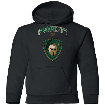 tc-titans-property-of-titans-gildan-youth-pullover-hoodie — Black — Front — source sha256 5a27cf25bece924ad1b052048883043c3f9e2fe0eed83a128cf1b8edb281b712 — Color position 3