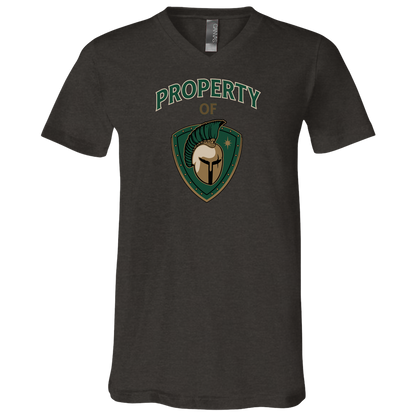 tc-titans-property-of-titans-bella-canvas-unisex-jersey-ss-v-neck-t-shirt — Dark Grey Heather — Front — source sha256 5ec225ff3a7f3cccd20729e4e1e87cef721473a1fc32da95cdbed5ceaec4dfb4 — Color position 3