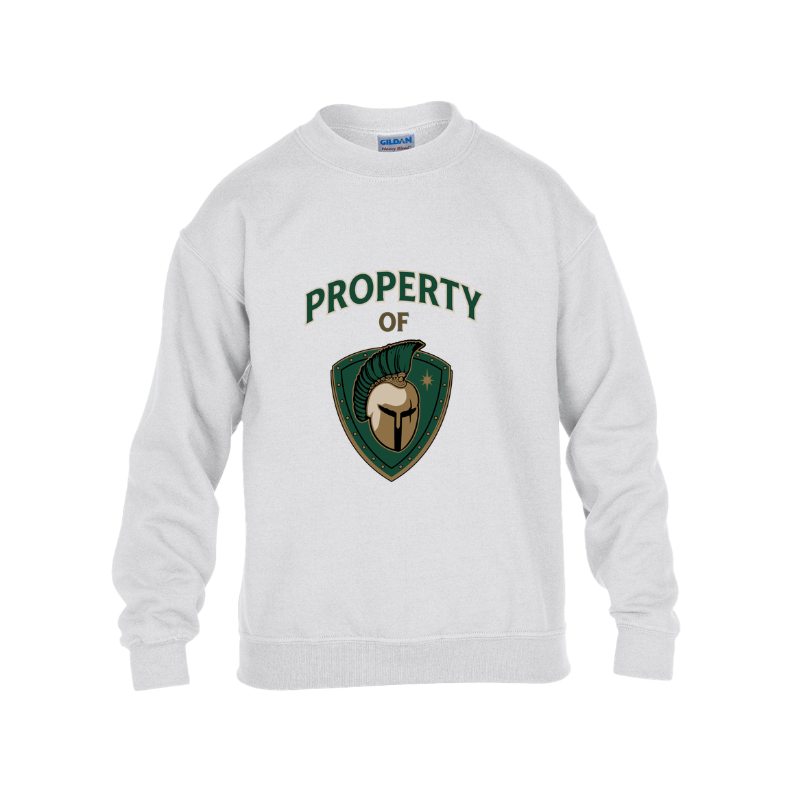 tc-titans-property-of-titans-gildan-kids-heavy-blend-fleece-crew — White — Front — source sha256 5ec2a2fef426768a8ba29e153b42e3f0f65c836b858ae8ea3cda5d55f44fa0b4 — Color position 4