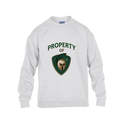 tc-titans-property-of-titans-gildan-kids-heavy-blend-fleece-crew — White — Front — source sha256 5ec2a2fef426768a8ba29e153b42e3f0f65c836b858ae8ea3cda5d55f44fa0b4 — Color position 4