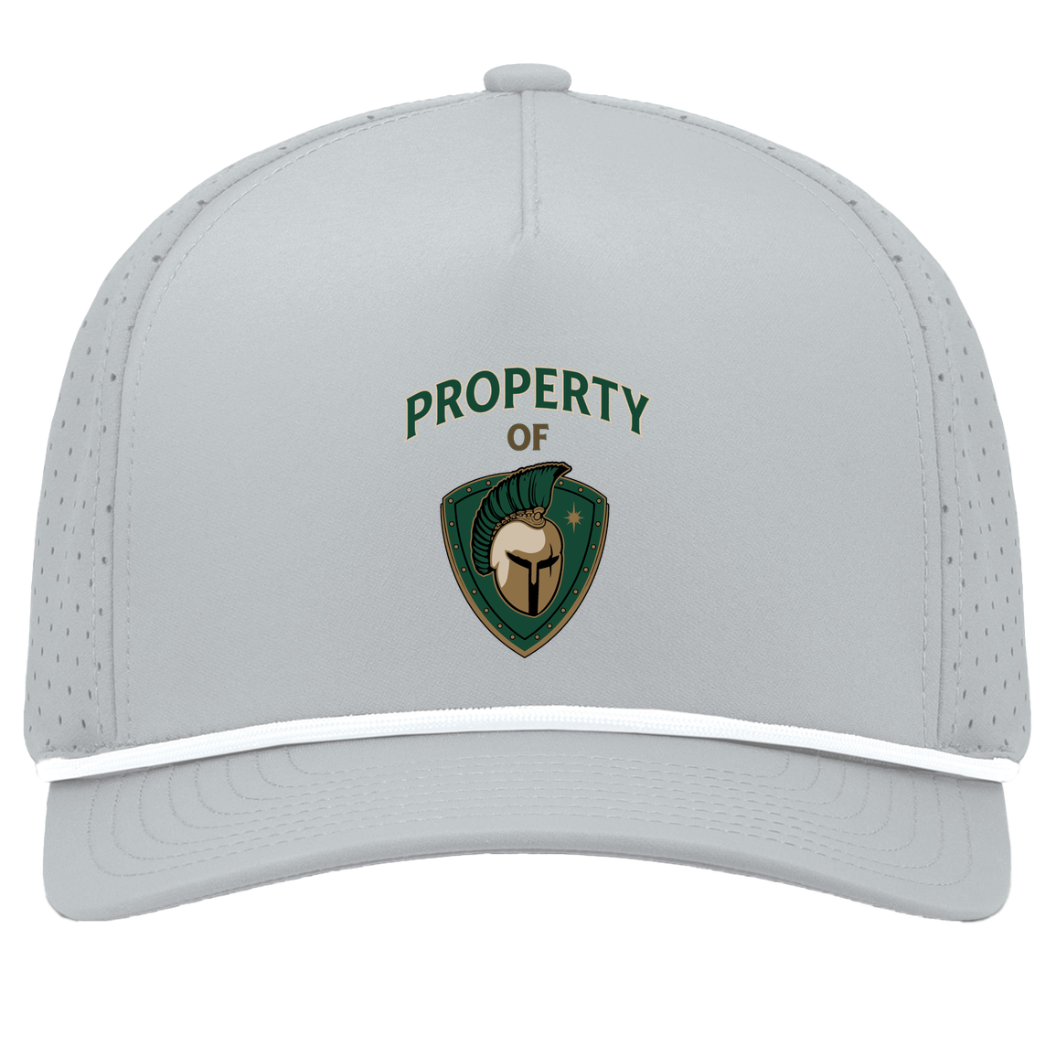 tc-titans-property-of-titans-pacific-headwear-weekender-perforated-snapback-cap — Silver/White — Front — source sha256 6db9b287723d77ca5579c0aafb763f960ef6217931d40d3e3b5ace2e83d3240b — Color position 5