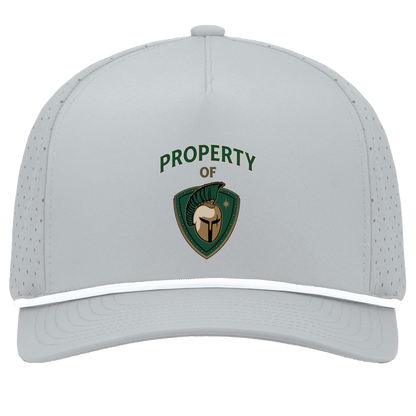 tc-titans-property-of-titans-pacific-headwear-weekender-perforated-snapback-cap — Silver/White — Front — source sha256 6db9b287723d77ca5579c0aafb763f960ef6217931d40d3e3b5ace2e83d3240b — Color position 5