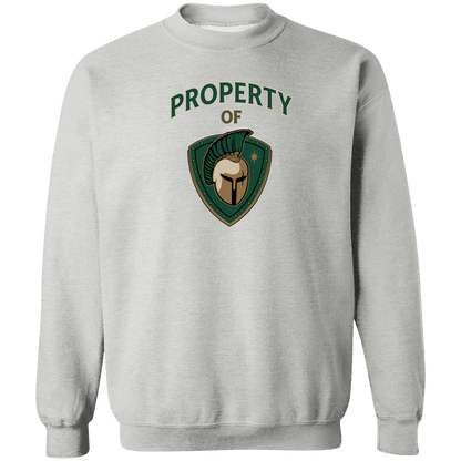 tc-titans-property-of-titans-gildan-crewneck-pullover-sweatshirt — Sport Grey — Front — source sha256 71ac8f30b243205ad3753cc4b532331c21939b158f9419356992265091473af9 — Color position 1