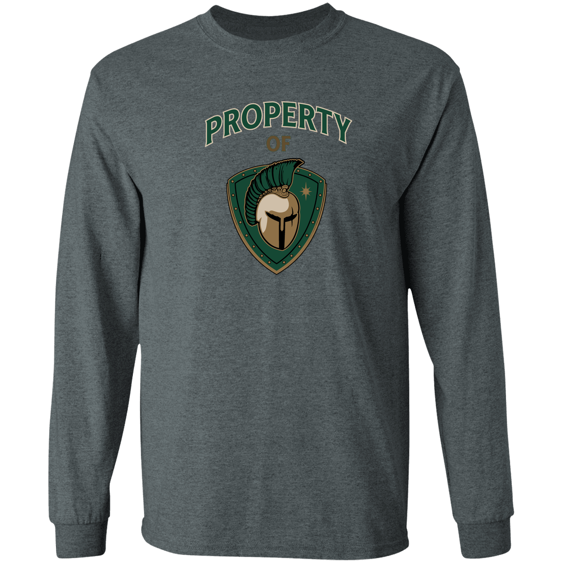 tc-titans-property-of-titans-gildan-ls-t-shirt-5-3-oz — Dark Heather — Front — source sha256 73b55234e67369a90298d61529da12723bb7ed0d9fbdf050a0826f8a25e73289 — Color position 2