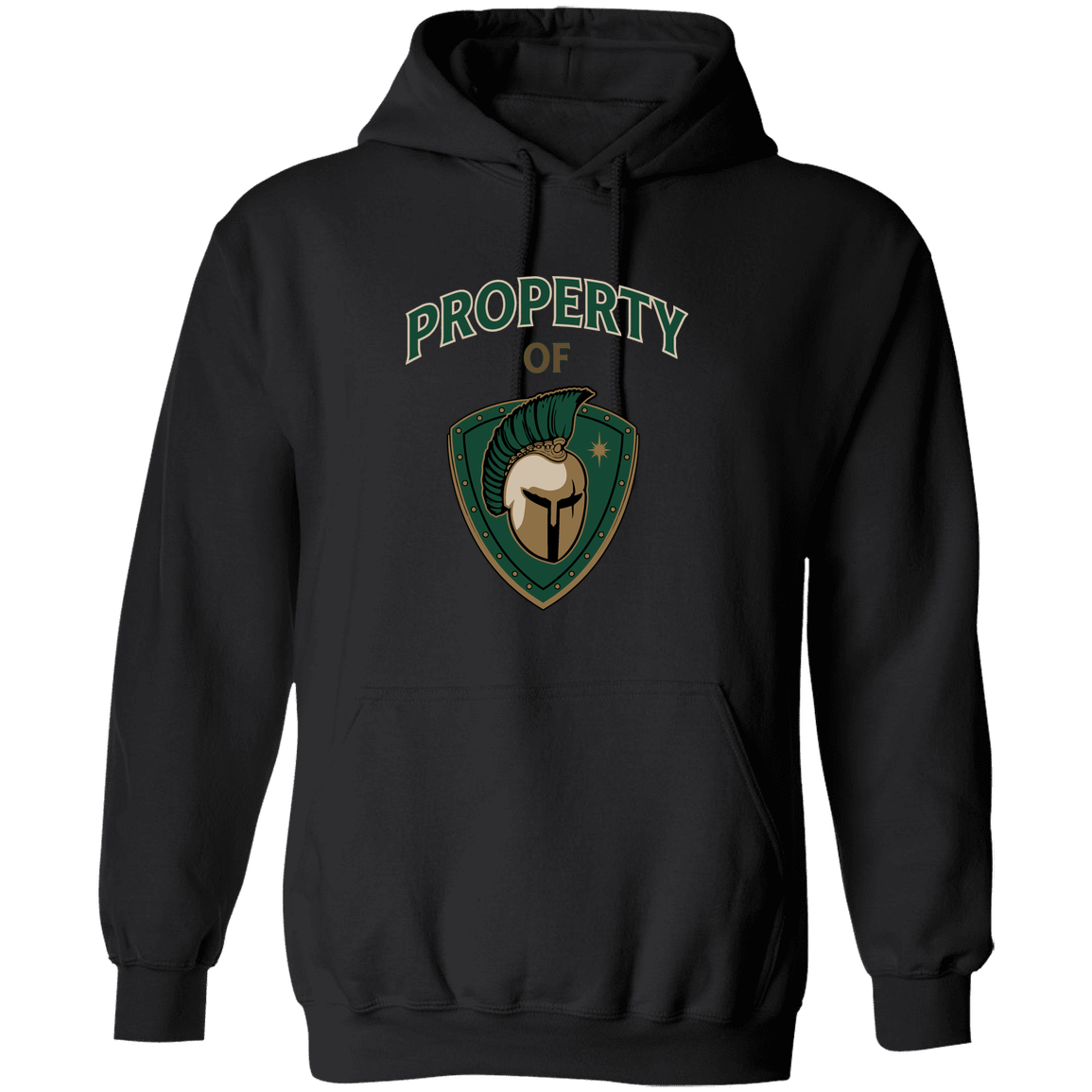 tc-titans-property-of-titans-gildan-pullover-hoodie — Black — Front — source sha256 75fc906cf62335cc37e2e8022ecde3a26fe77c59239cabf04a7c353ef727f3dd — Color position 5