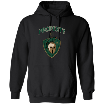 tc-titans-property-of-titans-gildan-pullover-hoodie — Black — Front — source sha256 75fc906cf62335cc37e2e8022ecde3a26fe77c59239cabf04a7c353ef727f3dd — Color position 5