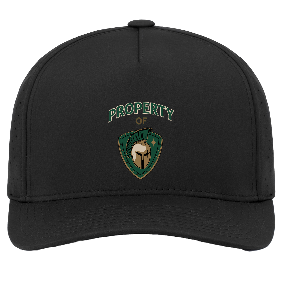 tc-titans-property-of-titans-pacific-headwear-weekender-perforated-snapback-cap — Black — Front — source sha256 76d053b2480cfcae2ee4a8ca2f40b786d7848437ead2388df3ef2961c0a17e99 — Color position 2