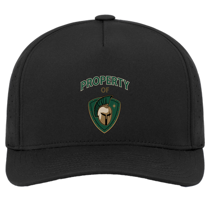 tc-titans-property-of-titans-pacific-headwear-weekender-perforated-snapback-cap — Black — Front — source sha256 76d053b2480cfcae2ee4a8ca2f40b786d7848437ead2388df3ef2961c0a17e99 — Color position 2