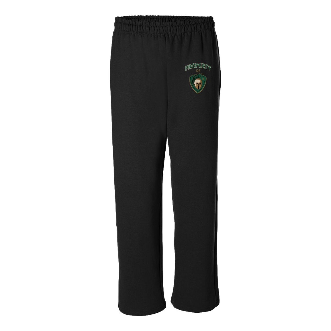 tc-titans-property-of-titans-gildan-adult-heavy-blend-open-bottom-pant — Black — Front — source sha256 7a9b4f96dfea2456a440ab4b8c54e1b25071c56a87b2643ac32f7ff78b3e77a5 — Color position 1