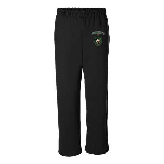 tc-titans-property-of-titans-gildan-adult-heavy-blend-open-bottom-pant — Black — Front — source sha256 7a9b4f96dfea2456a440ab4b8c54e1b25071c56a87b2643ac32f7ff78b3e77a5 — Color position 1
