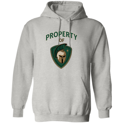 tc-titans-property-of-titans-gildan-pullover-hoodie — Ash — Front — source sha256 83723ac1f53f4188ce14007c9c1e94c16efafeeb968218045b9dc28e4adf7baa — Color position 3