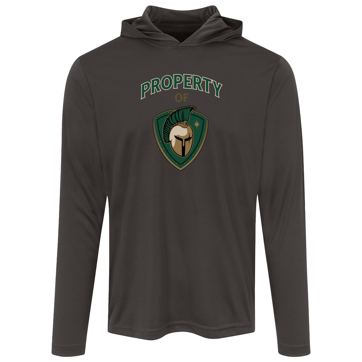 tc-titans-property-of-titans-sport-tek-mens-competitor-hooded-tee — Iron Grey — Front — source sha256 8df8e2cb1ce82429f28d55188846d28a59db1963064f7c966eed85b903d99d76 — Color position 2