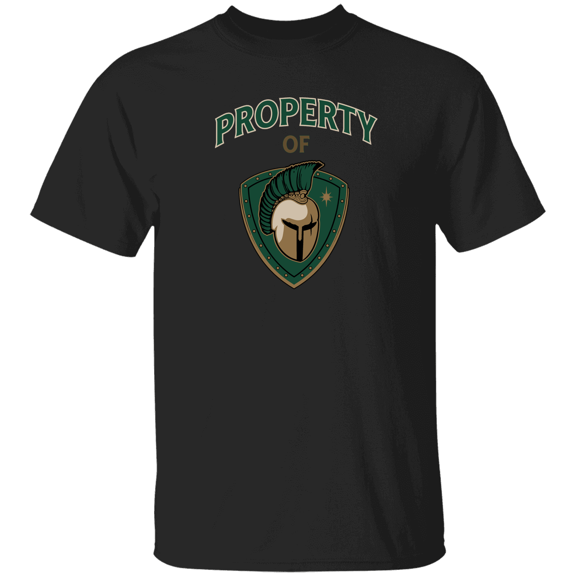 tc-titans-property-of-titans-gildan-youth-5-3-oz-100-cotton-t-shirt — Black — Front — source sha256 8f523151eb3321aa6a91a05935f59d1b9e9b8f39a56b5e733cbdb7a4666fb391 — Color position 2