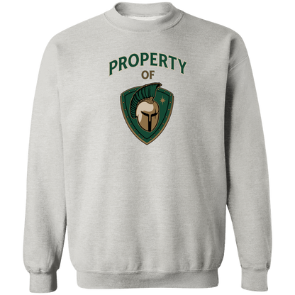 tc-titans-property-of-titans-gildan-crewneck-pullover-sweatshirt — Ash — Front — source sha256 903de5eaa3ae0c241c27c9df33dc1e2bc300a9ea00be8d8dc38e4c7f2c4c867e — Color position 2