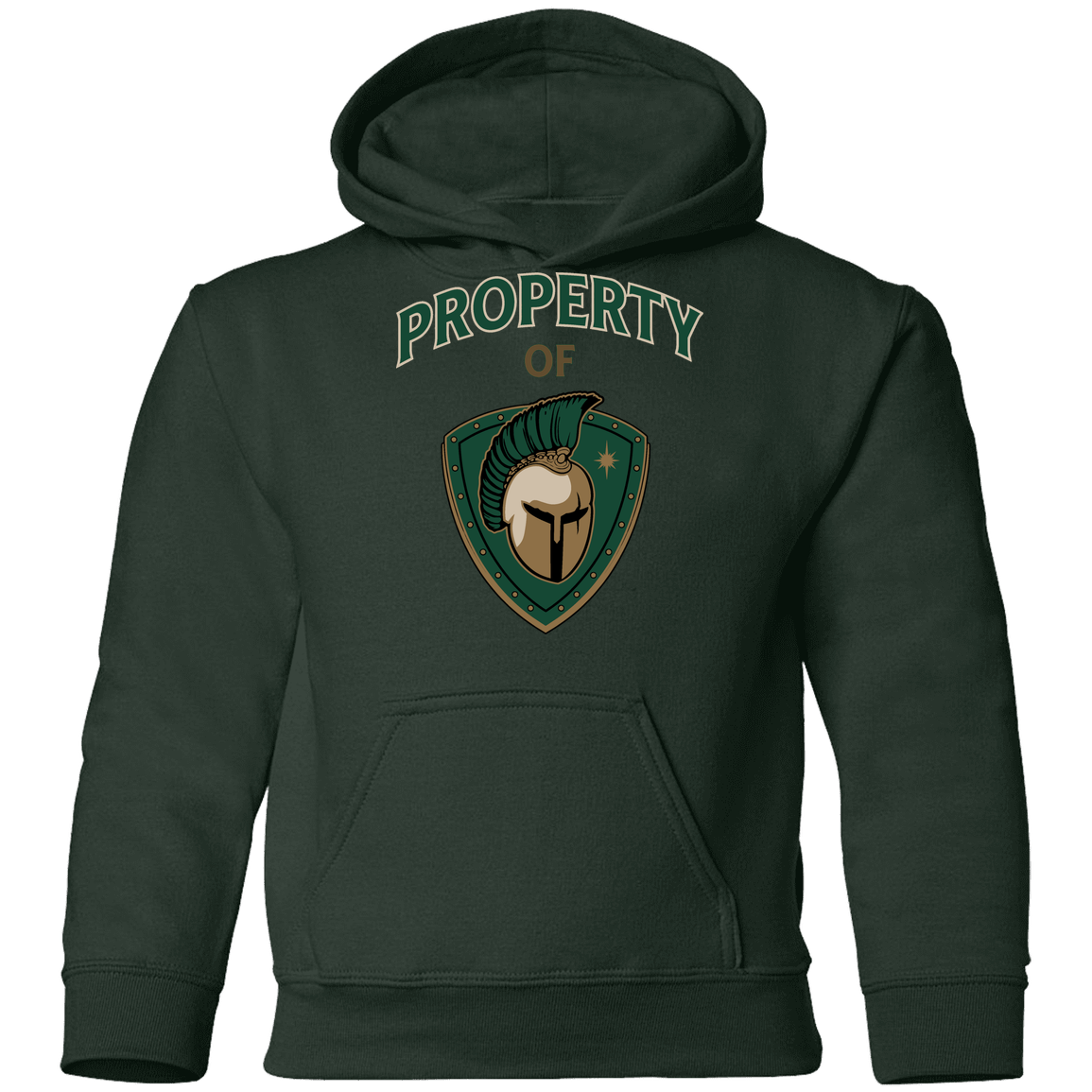 tc-titans-property-of-titans-gildan-youth-pullover-hoodie — Forest Green — Front — source sha256 91a41130f4a21b0c0996229aec17ece57741ecf158cce1879eb252b411ef6806 — Color position 5