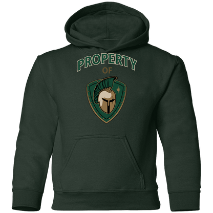 tc-titans-property-of-titans-gildan-youth-pullover-hoodie — Forest Green — Front — source sha256 91a41130f4a21b0c0996229aec17ece57741ecf158cce1879eb252b411ef6806 — Color position 5