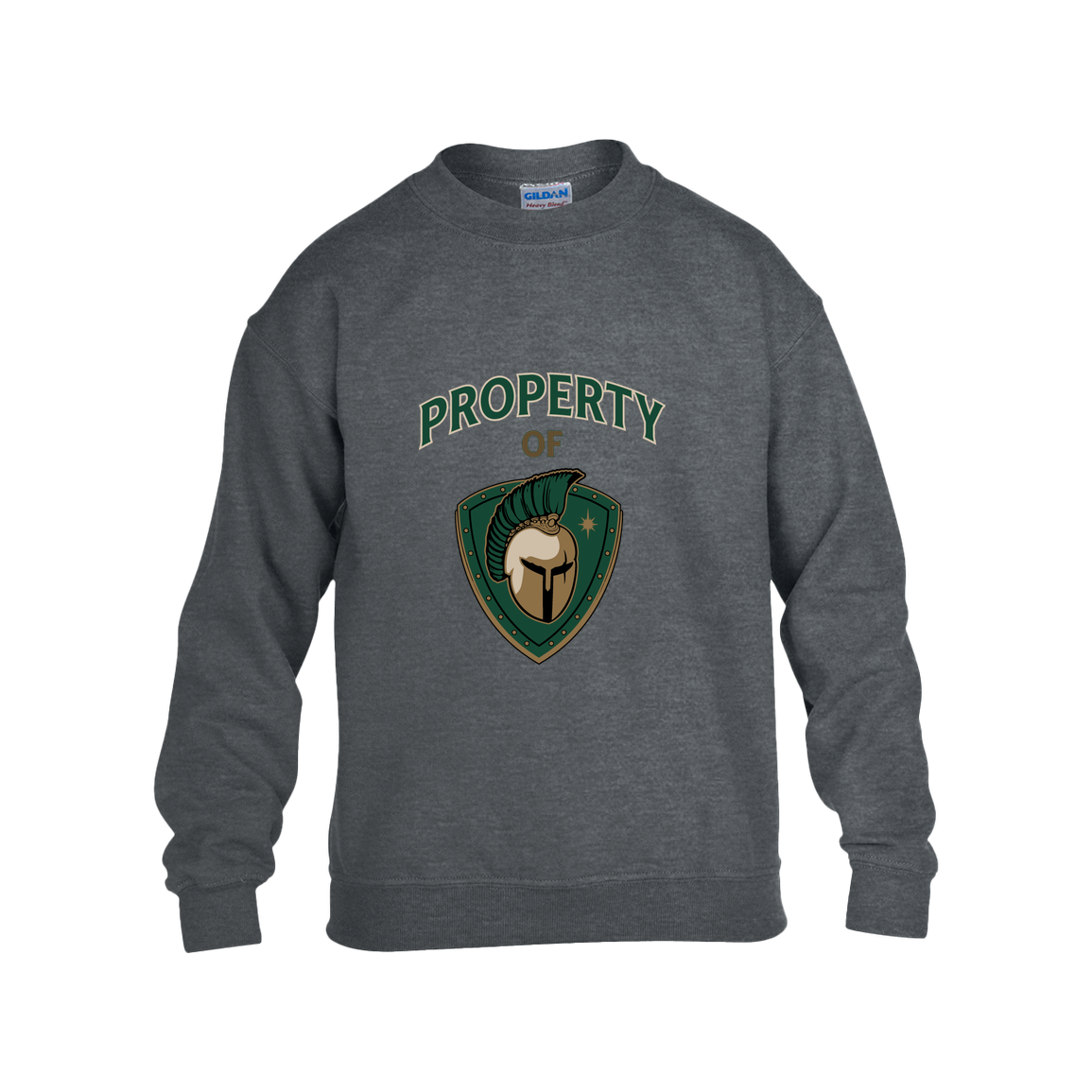 tc-titans-property-of-titans-gildan-kids-heavy-blend-fleece-crew — Dark Heather — Front — source sha256 948560c1d803dce6922a7be4927a0e5d6af4df51f6031e4d04a1488b4e07f37c — Color position 2