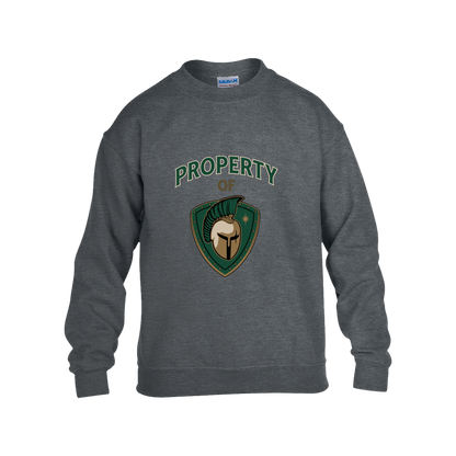 tc-titans-property-of-titans-gildan-kids-heavy-blend-fleece-crew — Dark Heather — Front — source sha256 948560c1d803dce6922a7be4927a0e5d6af4df51f6031e4d04a1488b4e07f37c — Color position 2