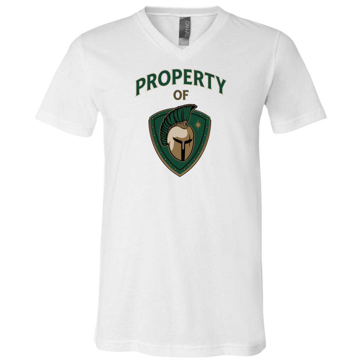 tc-titans-property-of-titans-bella-canvas-unisex-jersey-ss-v-neck-t-shirt — White — Front — source sha256 98146176321084e8cce6fd8815e5549c73289bbd43ad038320263f4f82bb5ca1 — Color position 1