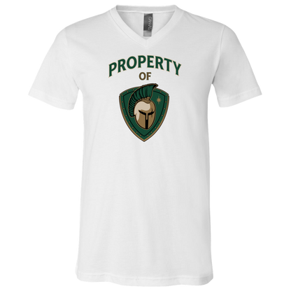 tc-titans-property-of-titans-bella-canvas-unisex-jersey-ss-v-neck-t-shirt — White — Front — source sha256 98146176321084e8cce6fd8815e5549c73289bbd43ad038320263f4f82bb5ca1 — Color position 1