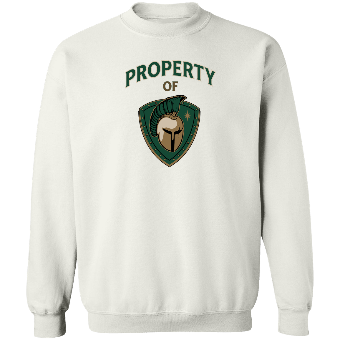 tc-titans-property-of-titans-gildan-crewneck-pullover-sweatshirt — White — Front — source sha256 a17467af47fa1eaf534f7d656ce5013a8fbaeeee9f1199261f361a6485b98499 — Color position 3