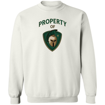 tc-titans-property-of-titans-gildan-crewneck-pullover-sweatshirt — White — Front — source sha256 a17467af47fa1eaf534f7d656ce5013a8fbaeeee9f1199261f361a6485b98499 — Color position 3