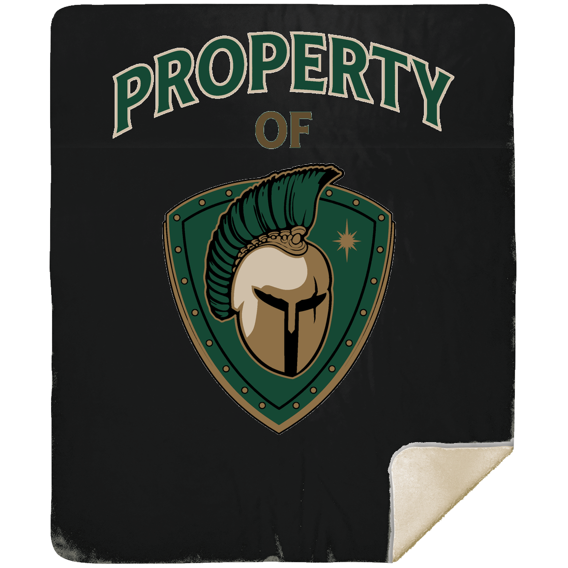 tc-titans-property-of-titans-mshm-premium-sherpa-blanket-50x60 — Black — Front — source sha256 a46c1d5a57de9cc3bdf560c878c5fa87e070193019cbfdaaeac4f2f47adc2206 — Color position 2