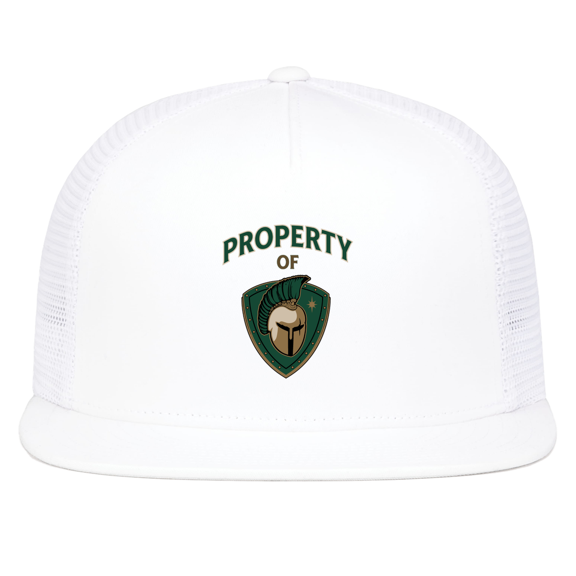 tc-titans-property-of-titans-pacific-headwear-d-series-5-panel-trucker-snapback-cap — White — Front — source sha256 a9b8d6cdcbc72a5b0031c71e114c34449e21121a0a628810843650ac22d223ed — Color position 5