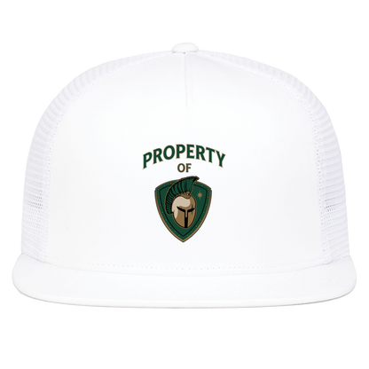 tc-titans-property-of-titans-pacific-headwear-d-series-5-panel-trucker-snapback-cap — White — Front — source sha256 a9b8d6cdcbc72a5b0031c71e114c34449e21121a0a628810843650ac22d223ed — Color position 5