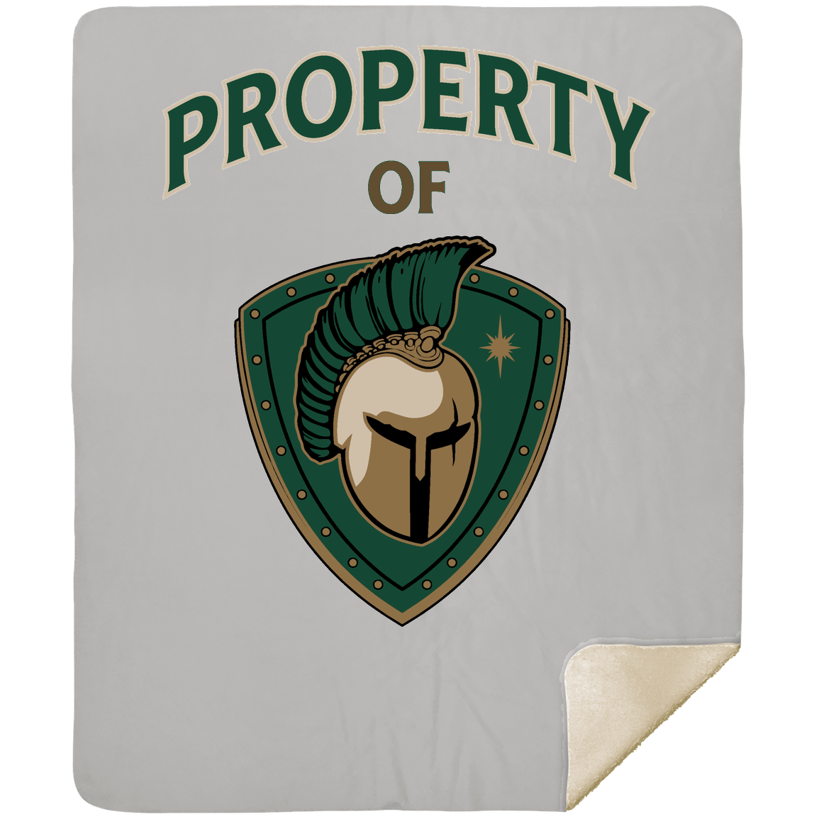 tc-titans-property-of-titans-mshm-premium-sherpa-blanket-50x60 — Silver — Front — source sha256 ac45166fd2c5560b5ccbb16f1fdd79b59cc503a12fd9e771ac7bf4bac4e19aa7 — Color position 4