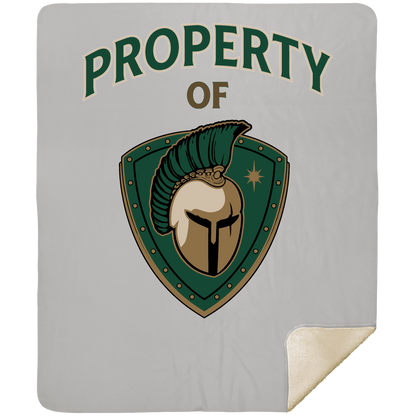 tc-titans-property-of-titans-mshm-premium-sherpa-blanket-50x60 — Silver — Front — source sha256 ac45166fd2c5560b5ccbb16f1fdd79b59cc503a12fd9e771ac7bf4bac4e19aa7 — Color position 4