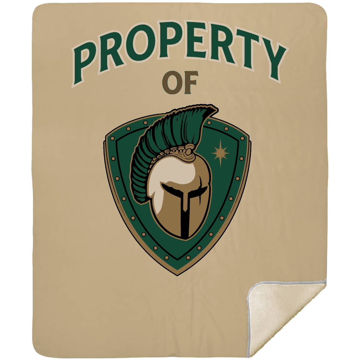 tc-titans-property-of-titans-mshm-premium-sherpa-blanket-50x60 — Tan — Front — source sha256 ace691499d1a0eb4eaf4ee1847f9b5fddc279d19bf7a536806802338e1a73257 — Color position 5