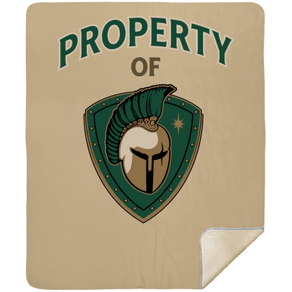 tc-titans-property-of-titans-mshm-premium-sherpa-blanket-50x60 — Tan — Front — source sha256 ace691499d1a0eb4eaf4ee1847f9b5fddc279d19bf7a536806802338e1a73257 — Color position 5