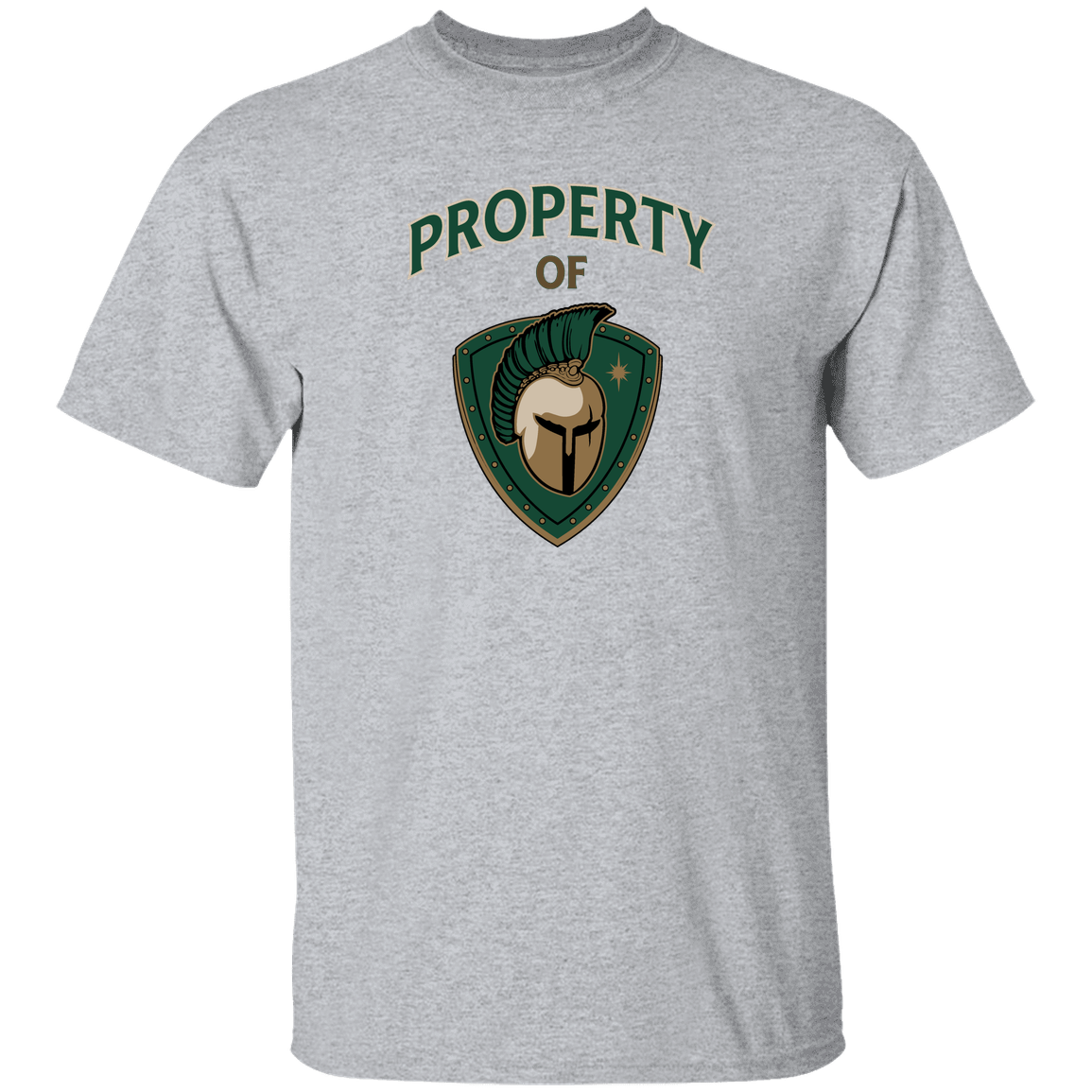 tc-titans-property-of-titans-gildan-youth-5-3-oz-100-cotton-t-shirt — Sport Grey — Front — source sha256 afc8bdb312b4202c06dfbf9b01077628f9cfdf1dd7784053094d536d41d78282 — Color position 5