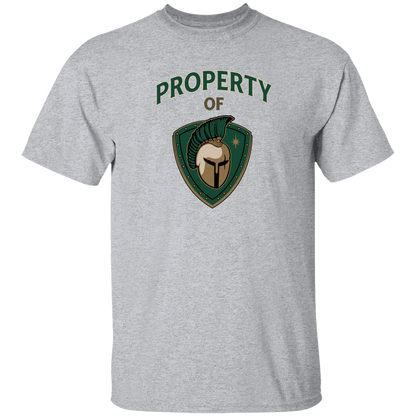 tc-titans-property-of-titans-gildan-youth-5-3-oz-100-cotton-t-shirt — Sport Grey — Front — source sha256 afc8bdb312b4202c06dfbf9b01077628f9cfdf1dd7784053094d536d41d78282 — Color position 5
