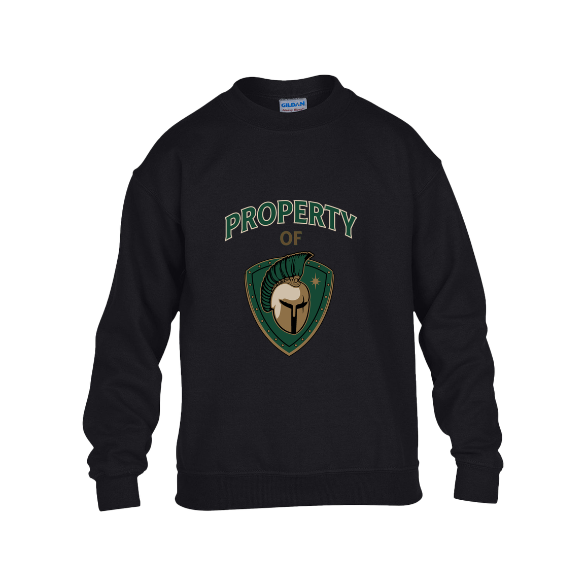 tc-titans-property-of-titans-gildan-kids-heavy-blend-fleece-crew — Black — Front — source sha256 b137be940900669766400dd70877d5b3bb7c2552d5bcf8c0b8eeae6435086520 — Color position 1