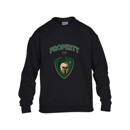 tc-titans-property-of-titans-gildan-kids-heavy-blend-fleece-crew — Black — Front — source sha256 b137be940900669766400dd70877d5b3bb7c2552d5bcf8c0b8eeae6435086520 — Color position 1