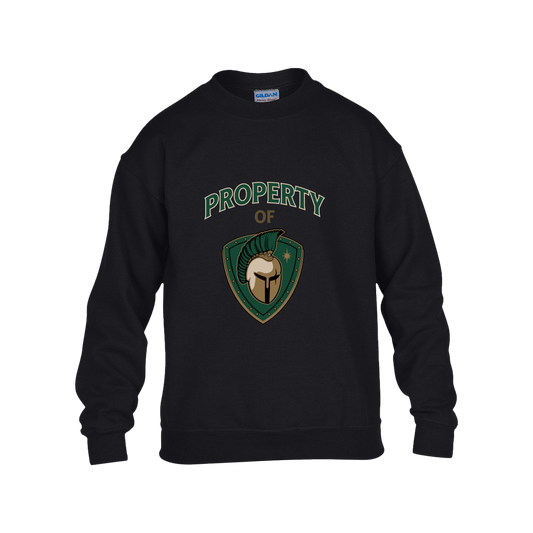 tc-titans-property-of-titans-gildan-kids-heavy-blend-fleece-crew — Black — Front — source sha256 b137be940900669766400dd70877d5b3bb7c2552d5bcf8c0b8eeae6435086520 — Color position 1
