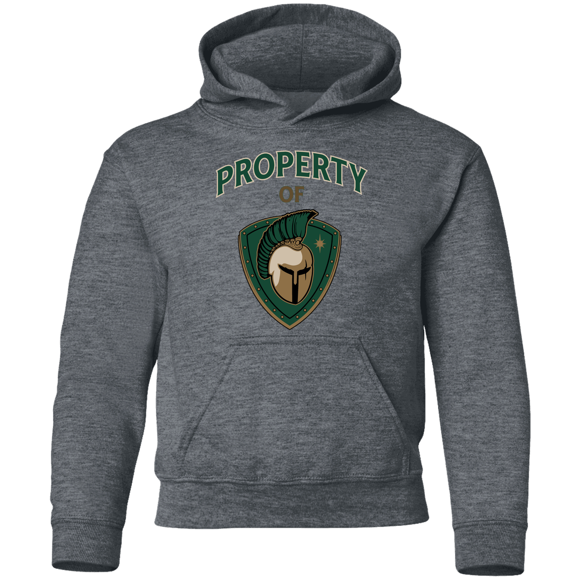 tc-titans-property-of-titans-gildan-youth-pullover-hoodie — Dark Heather — Front — source sha256 b19c8ac5d8b1e370ed4d6c07b7ea7de3bdbe4a238a28a64d83554ce5110d610c — Color position 4