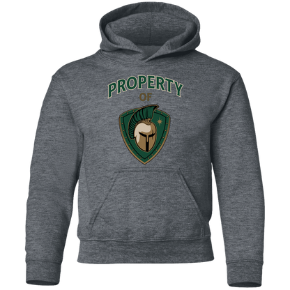 tc-titans-property-of-titans-gildan-youth-pullover-hoodie — Dark Heather — Front — source sha256 b19c8ac5d8b1e370ed4d6c07b7ea7de3bdbe4a238a28a64d83554ce5110d610c — Color position 4