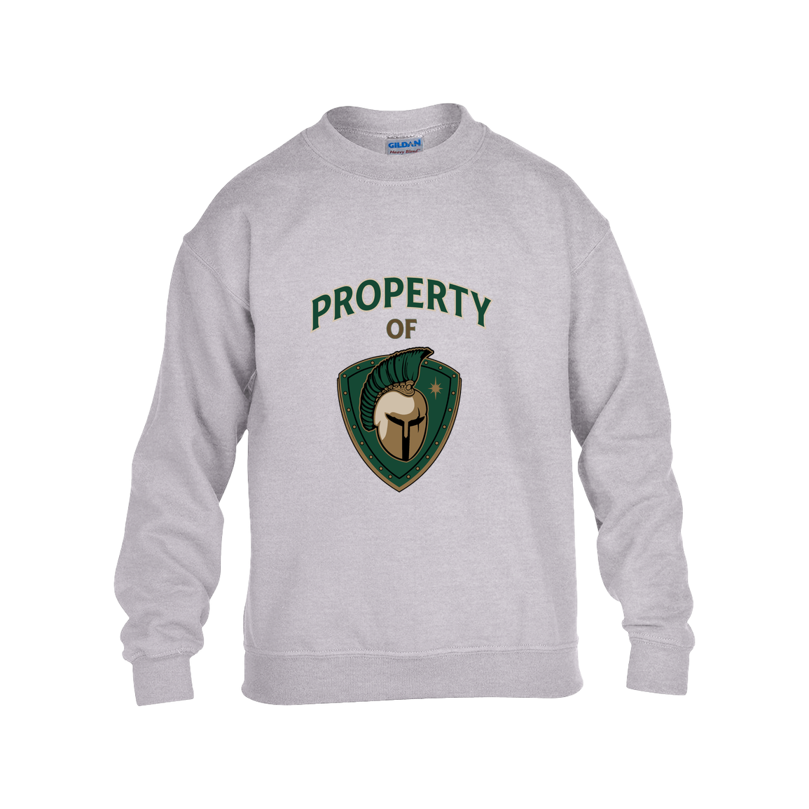 tc-titans-property-of-titans-gildan-kids-heavy-blend-fleece-crew — Grey — Front — source sha256 ba15149297bf33c8ab00a634fdb52b7b1637ba91136c26262656ffb544b9afe3 — Color position 3