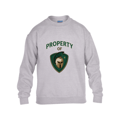 tc-titans-property-of-titans-gildan-kids-heavy-blend-fleece-crew — Grey — Front — source sha256 ba15149297bf33c8ab00a634fdb52b7b1637ba91136c26262656ffb544b9afe3 — Color position 3