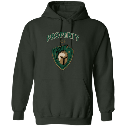 tc-titans-property-of-titans-gildan-pullover-hoodie — Forest Green — Front — source sha256 baa129b26a16a1c069141f8227ecb3ba599101edcf40fbaa677f1ab04af549e3 — Color position 7