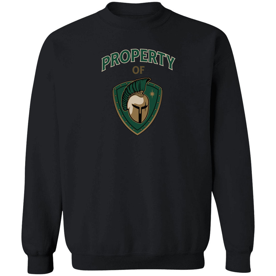tc-titans-property-of-titans-gildan-crewneck-pullover-sweatshirt — Black — Front — source sha256 bdbaf6eba285a0a0d7e0c8290344bde71a7423ae98269766d437d73c83d9a2dc — Color position 4