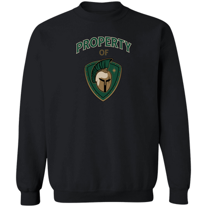 tc-titans-property-of-titans-gildan-crewneck-pullover-sweatshirt — Black — Front — source sha256 bdbaf6eba285a0a0d7e0c8290344bde71a7423ae98269766d437d73c83d9a2dc — Color position 4