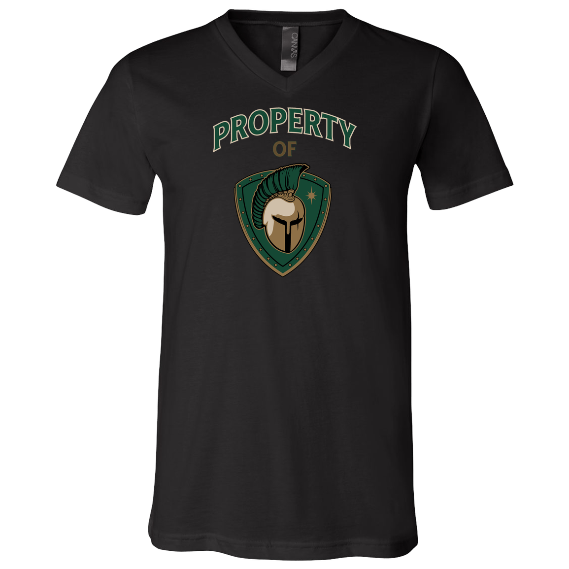 tc-titans-property-of-titans-bella-canvas-unisex-jersey-ss-v-neck-t-shirt — Black — Front — source sha256 c098da41950957efc9128bdb4cfa35331df8da7e6ade8e7b803daffd9c2977f0 — Color position 2