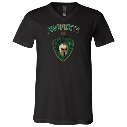 tc-titans-property-of-titans-bella-canvas-unisex-jersey-ss-v-neck-t-shirt — Black — Front — source sha256 c098da41950957efc9128bdb4cfa35331df8da7e6ade8e7b803daffd9c2977f0 — Color position 2
