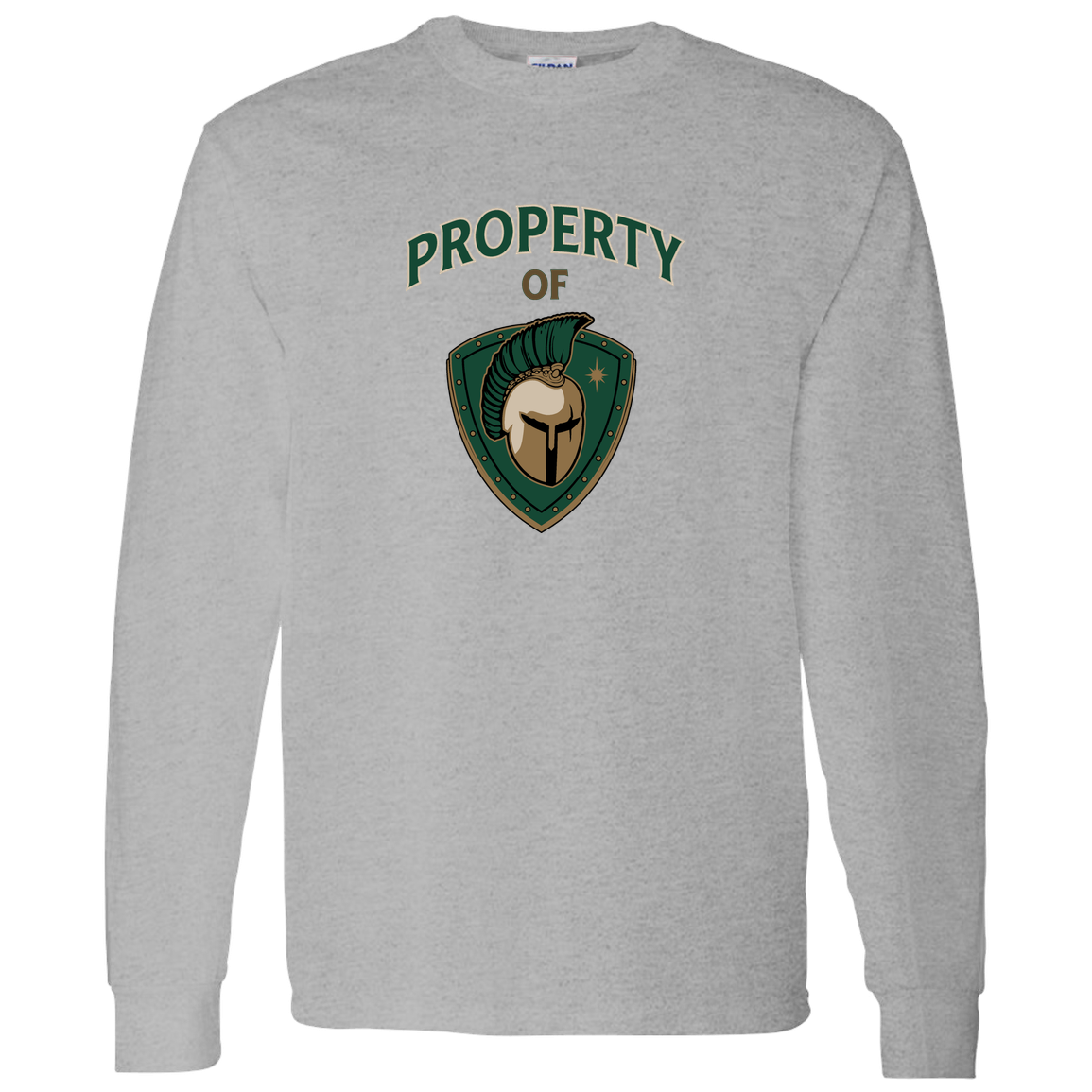 tc-titans-property-of-titans-gildan-ls-t-shirt-5-3-oz — Sport Grey — Front — source sha256 c9ee7bcbbed3046f492a693e3640575c6d399991fd505613c806159ed479e697 — Color position 5